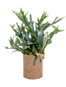 Pot trendcover cylinder marron