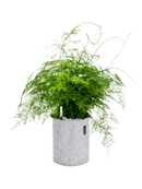 Pot trendcover cylinder grise