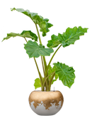 Pot luxe lite globe multicolore