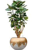 Pot luxe lite globe multicolore