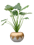 Pot luxe lite globe multicolore