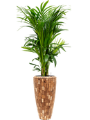 Pot facets partner marron