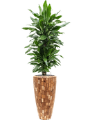 Pot facets partner marron