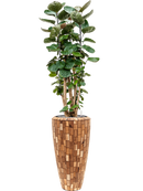 Pot facets partner marron