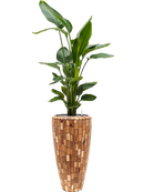 Pot facets partner marron