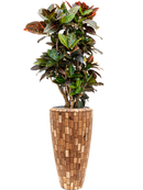 Pot facets partner marron