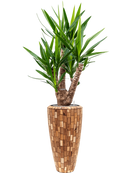 Pot facets partner marron