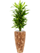 Pot facets partner marron