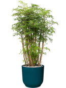 Pot vibes cylinder bleue