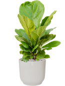 Pot vibes cylinder blanche