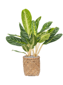 Pot bohemian cylinder marron