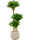 Pot raindrop darcy beige