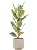 Pot raindrop darcy beige