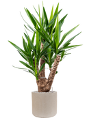 Pot raindrop cylinder beige