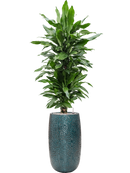 Pot marly partner bleue