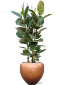 Pot metallic couple bronze