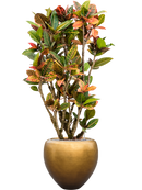 Pot metallic couple d'or