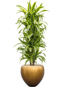 Pot metallic couple d'or