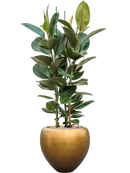 Pot metallic couple d'or