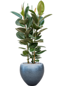 Pot metallic couple bleue