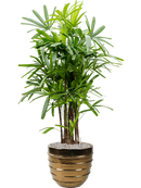 Pot beauty couple d'or