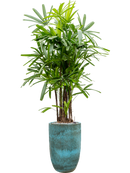 Pot pure partner bleue