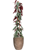 Pot polystone coated emperor marron