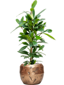 Pot opus couple d'or