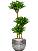 Pot opus couple argent