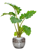 Pot opus couple argent