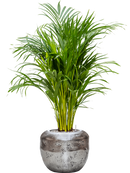 Pot opus couple argent