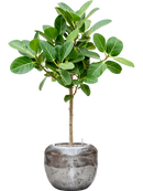 Pot opus couple argent