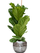 Pot opus couple argent