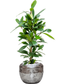 Pot opus couple argent