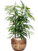 Pot opus couple d'or