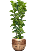 Pot opus couple d'or