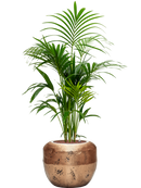 Pot opus couple d'or