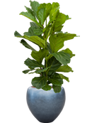 Pot metallic couple bleue