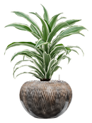 Pot luxe lite globe bronze