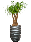 Pot gradient partner grise