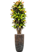 Pot luxe lite partner bronze