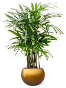 Pot metallic globe d'or