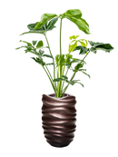 Pot gradient partner marron