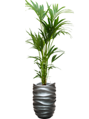 Pot gradient partner grise