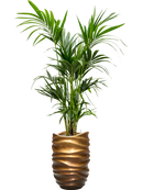 Pot gradient partner marron