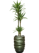 Pot gradient partner verte