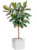 Pot line-up cube blanche