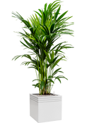 Pot line-up cube blanche