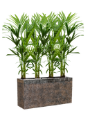 Pot luxe lite rectangle bronze