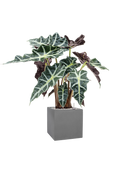 Pot natural cube grise